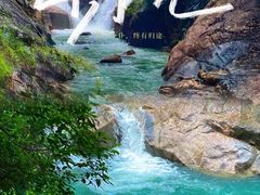 -广州白江湖森林公园