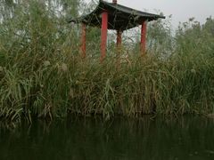 -白洋淀景区