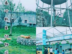 -西安秦岭野生动物园