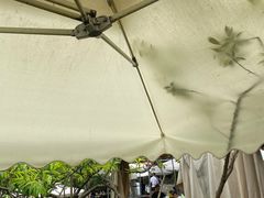 -正宗火盆自助烧烤·烤全羊·柴火鸡(龙泉山店)