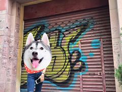 -澳门旅游塔360°旋转餐厅(南湾湖广场店)