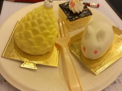 -重庆长寿碧桂园凤悦凤凰酒店