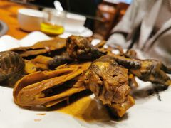 -老号尤兔头(幸福店)