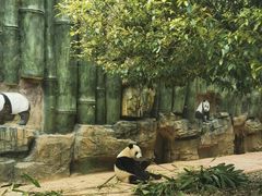 -贵州森林野生动物园