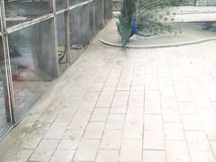 -小脚丫幼儿园(西二旗东一路校区)