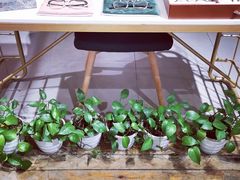 -肆兮眼镜·蔡司·徕卡战略合作店(大坪店)
