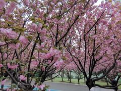 -苏州河梦清园环保主题公园