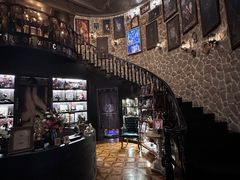 -雪灵魔法世界SHELLY’S TAROT(大良桂畔里店)