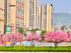-万达广场(巴南店)