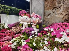 -上海醉白池公园