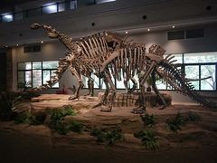 -自贡恐龙博物馆