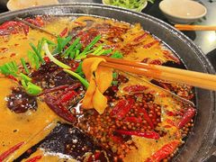 微辣锅底-酒友老火锅(渝中店)