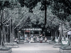 -东风公园