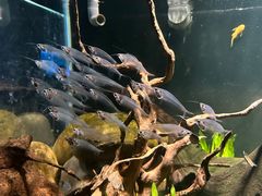 -太平洋海底世界