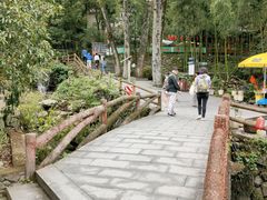 -藏龙百瀑风景区