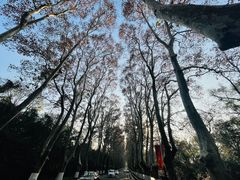 -紫霞湖公园