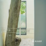 广州 开在公园里的艺术馆湖边轻食餐厅