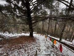 -硗碛藏寨·神木垒景区