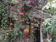 -西关84·History·Art·Cafe