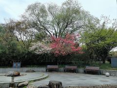 -南通濠河风景名胜区