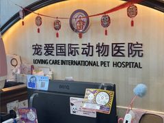 -宠爱国际动物医院·消化内科·心肾内科·ISFM猫友好(望京店)