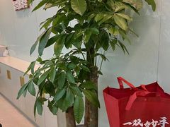 -龙脊康·颈肩腰腿痛·脊柱侧弯·运动损伤脊柱专科门诊(天河店)