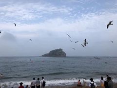 -棒棰岛宾馆景区