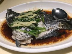 -龙记烧腊茶餐厅(常德路店)
