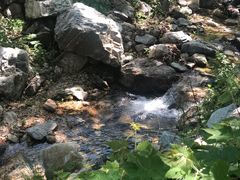 -大连天门山国家森林公园