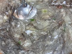 -林记私房菜(渔溪店)