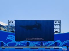 -上海海昌海洋公园