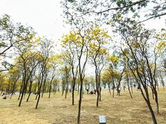 -松山湖风景区松湖烟雨