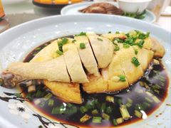 口水鸡-红菜坊·烤鸭·川鲁宴(石园店)