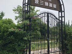 -金山农民画村-枫泾波兰倒置屋