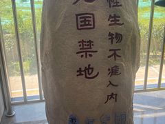 -天幕新彩云国际影城(激光巨幕店)