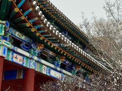 -碑林公园