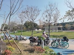 -尚贤河湿地