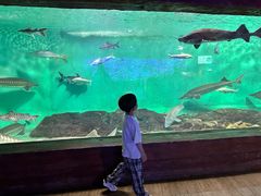 -太平洋海底世界