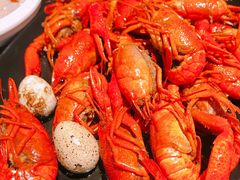 -不炭白烧烤(成都首店)