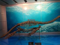 景点-自贡恐龙博物馆