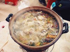 连州果园鸡-威邵鸡煲(西华路总店)