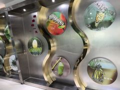 -上海昆虫博物馆