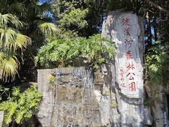 -广州市流溪河国家森林公园