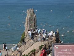 -海驴岛(荣成市)