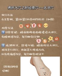 -海茱雅科技健康美容