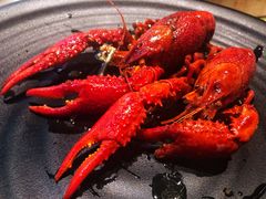 -红盔甲·小龙虾(天钥桥店)