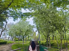 -长广溪湿地公园