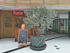 -Ponte 意大利餐厅