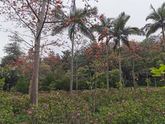 -云溪植物园