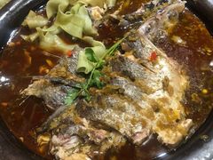 老实人酱椒鱼头-蜀香格格•剁椒鱼头(龙西店)